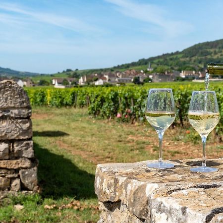 Charmante Maison Climatisee Avec Son Jardin A 10 Minutes De Dijon Marsannay-la-Côte Esterno foto