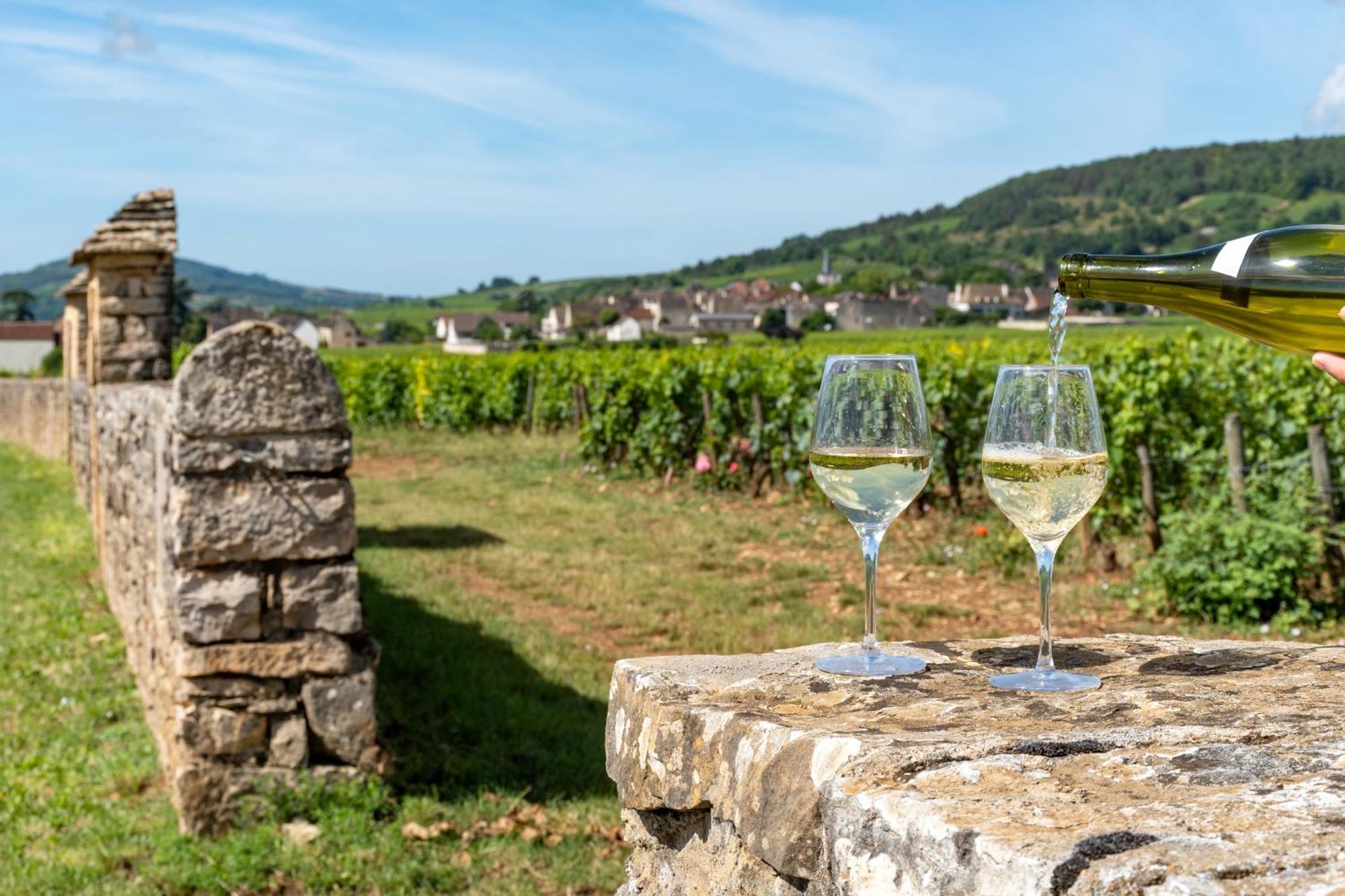 Charmante Maison Climatisee Avec Son Jardin A 10 Minutes De Dijon Marsannay-la-Côte Esterno foto